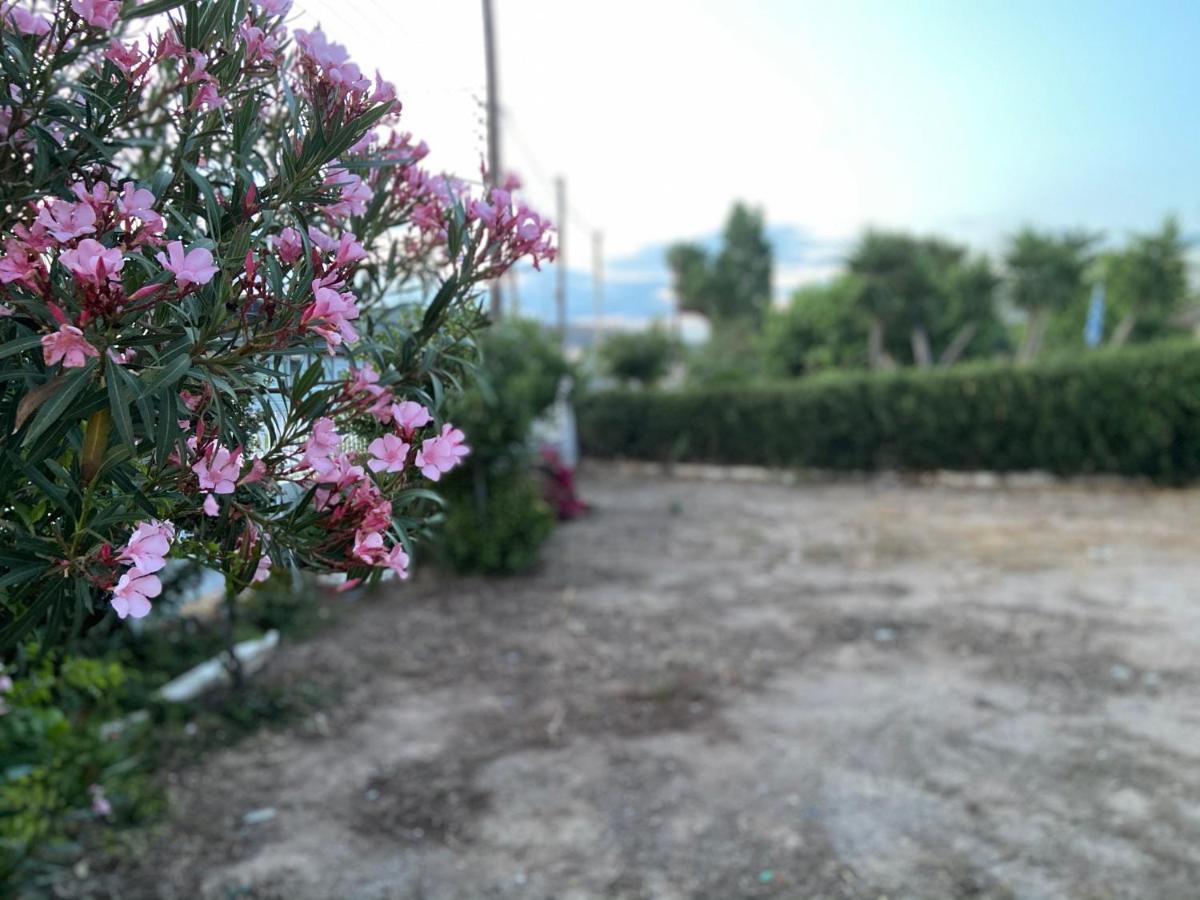 Athens Riviera: 2 Bed / 3' Walk From The Beach Agia Marina  Zewnętrze zdjęcie